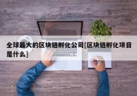 全球最大的区块链孵化公司[区块链孵化项目是什么]